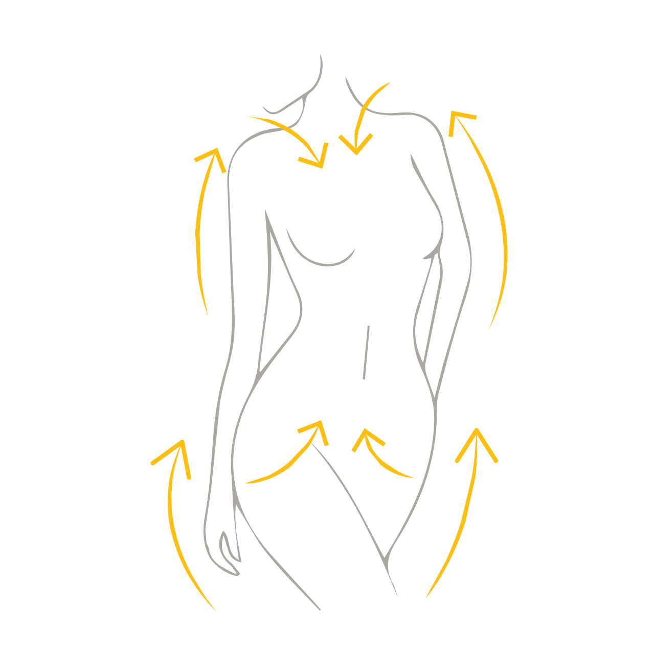 Conseils d&