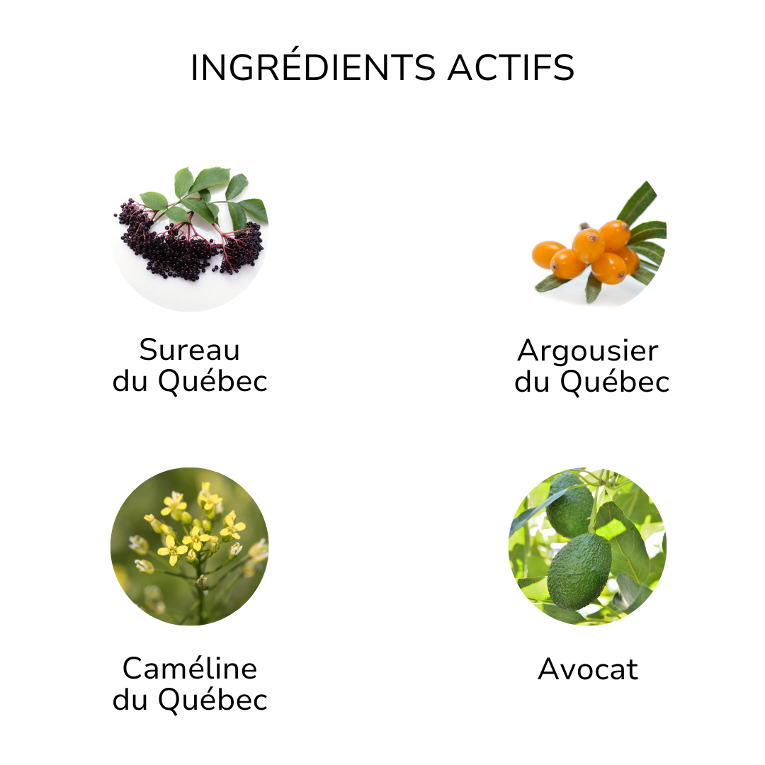 Ingrédients actifs crème visage naturelle ÖL cosmétiques