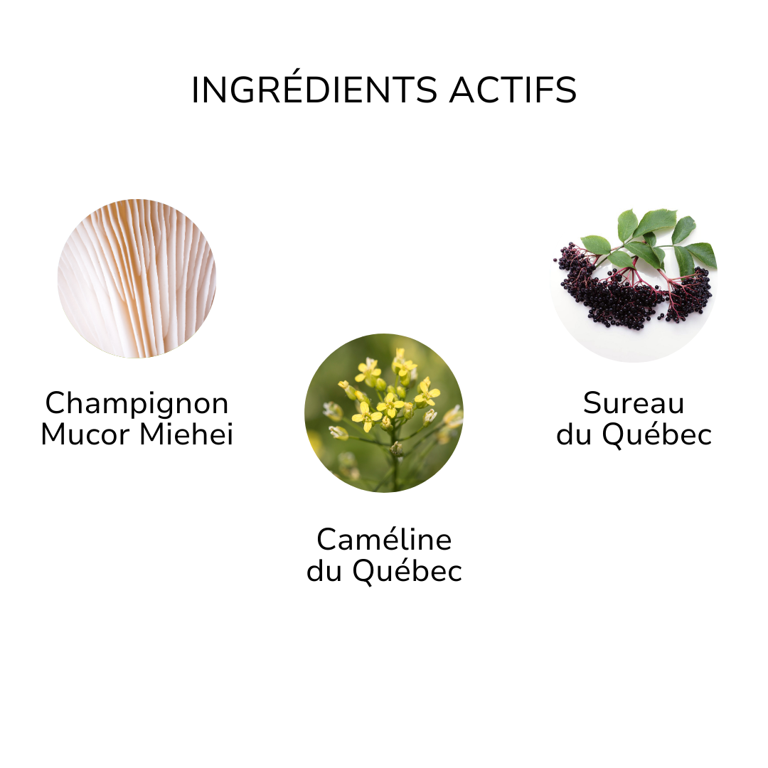 Ingrédients actifs exfoliant enzymatique ÖL cosmétiques