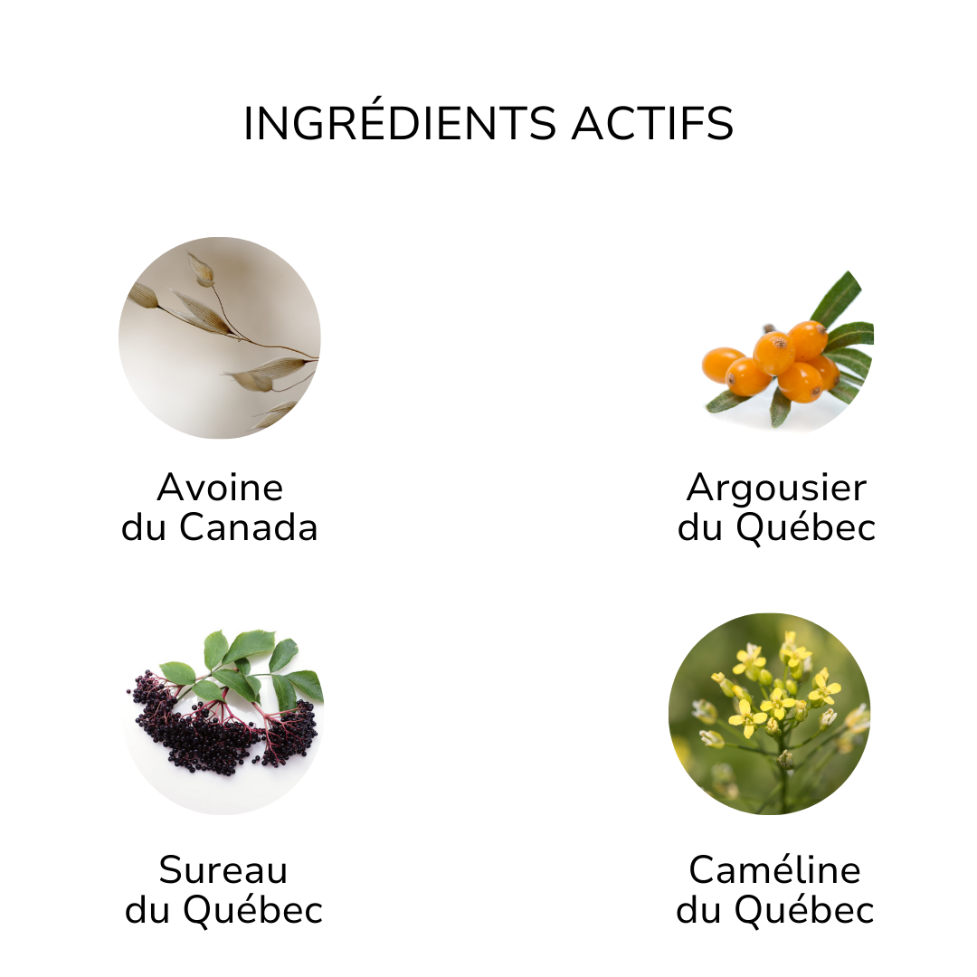 Ingrédients actifs lait naturel pour le corps ÖL cosmétiques