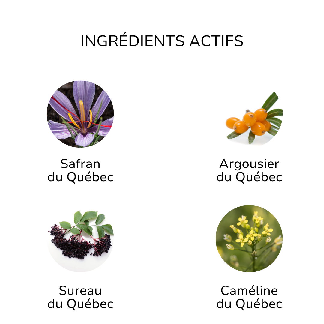 Ingrédients actifs du lait nettoyant pour le visage ÖL cosmétiques