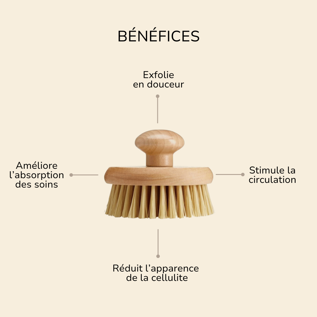 Bénéfices de la brosse exfoliante pour le corps en fibres naturelles ÖL cosmétiques