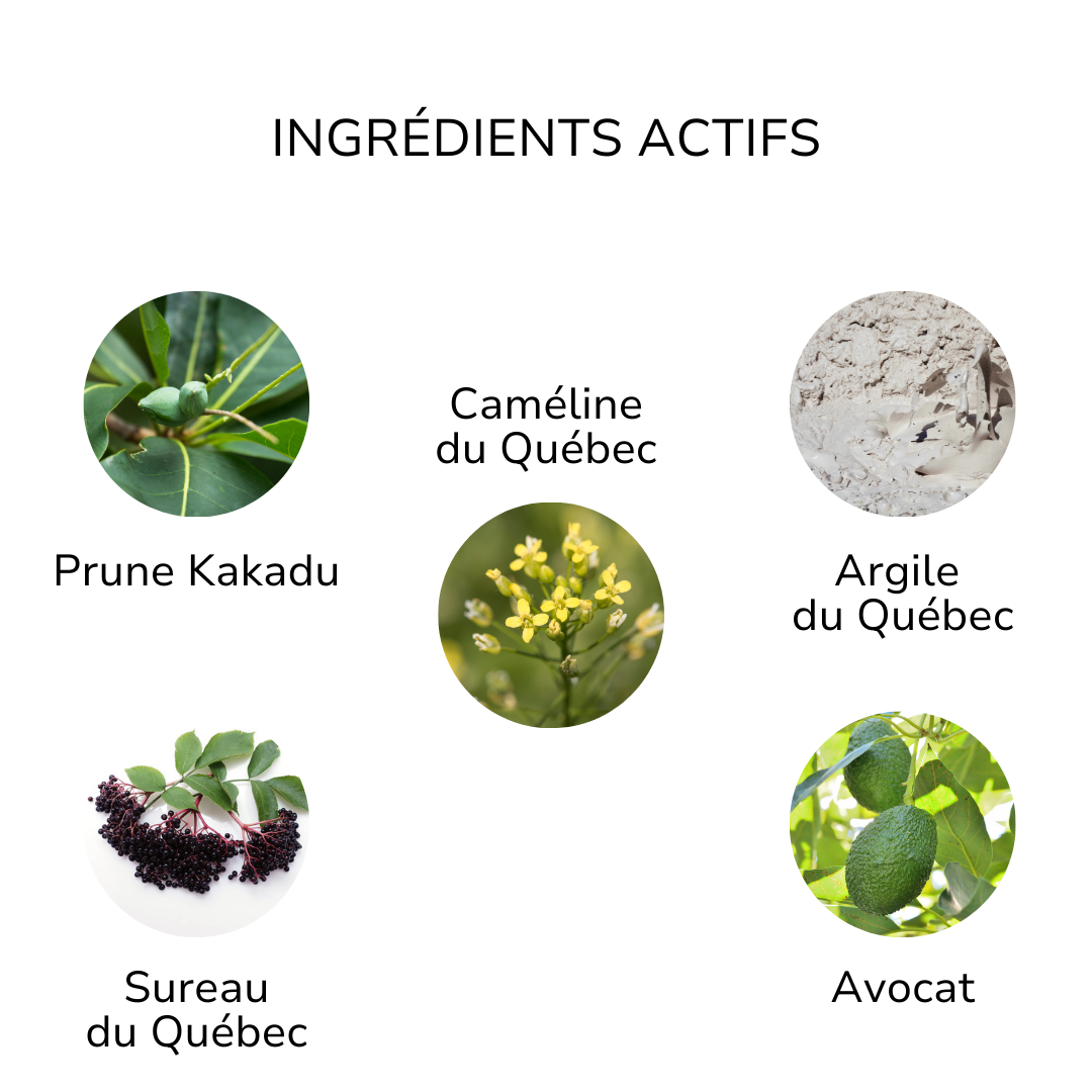 Ingrédients actifs du masque de boue marine ÖL cosmétiques