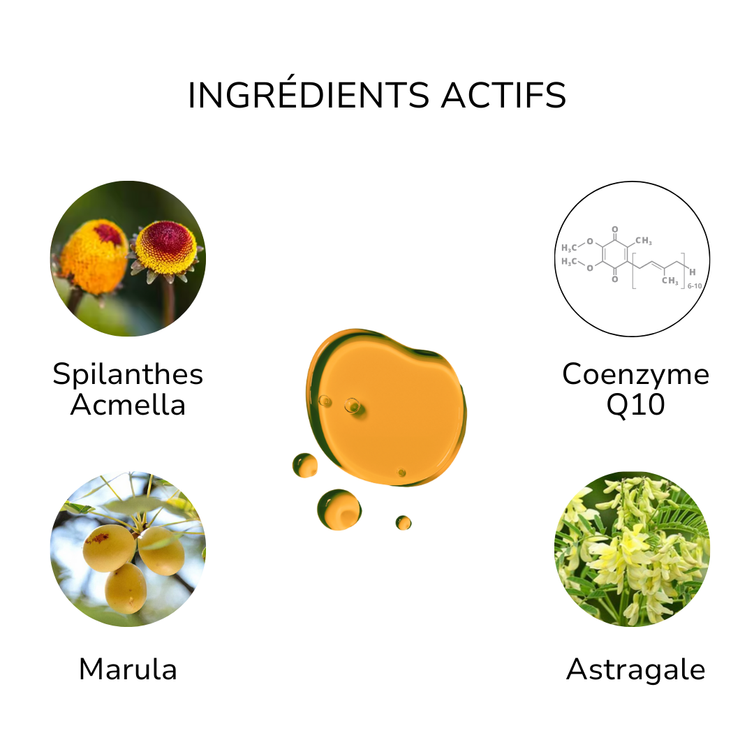 SÉRUM LIFT & FERMETÉ