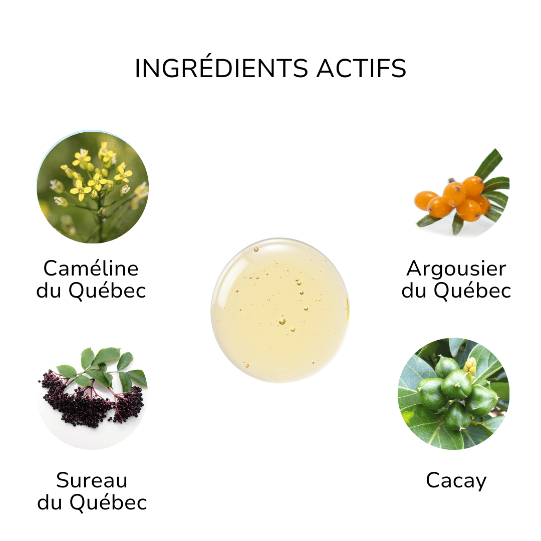 Ingrédients actifs sérum absolu ÖL cosmétiques