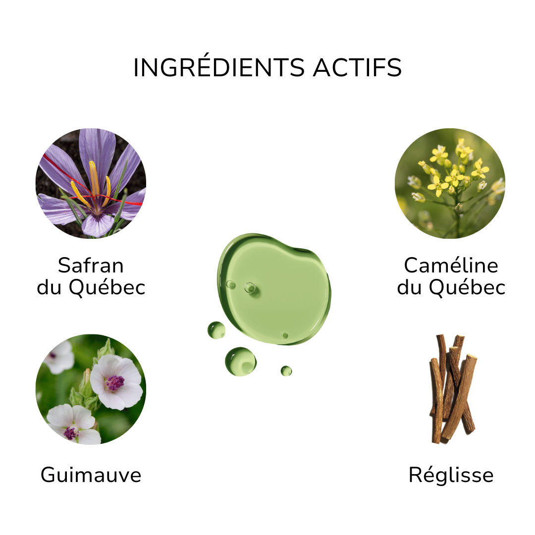 Ingrédients actifs sérum éclaircissant ÖL cosmétiques